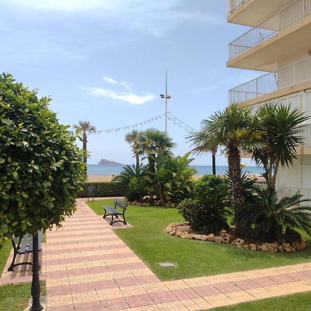 Living Benidorm. Playa Levante Kültér fotó